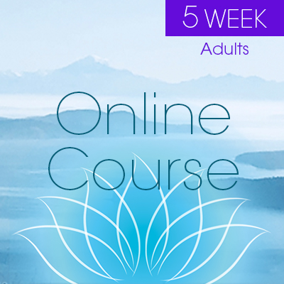 5week-online